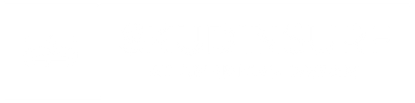 Skudin Surf American Dream